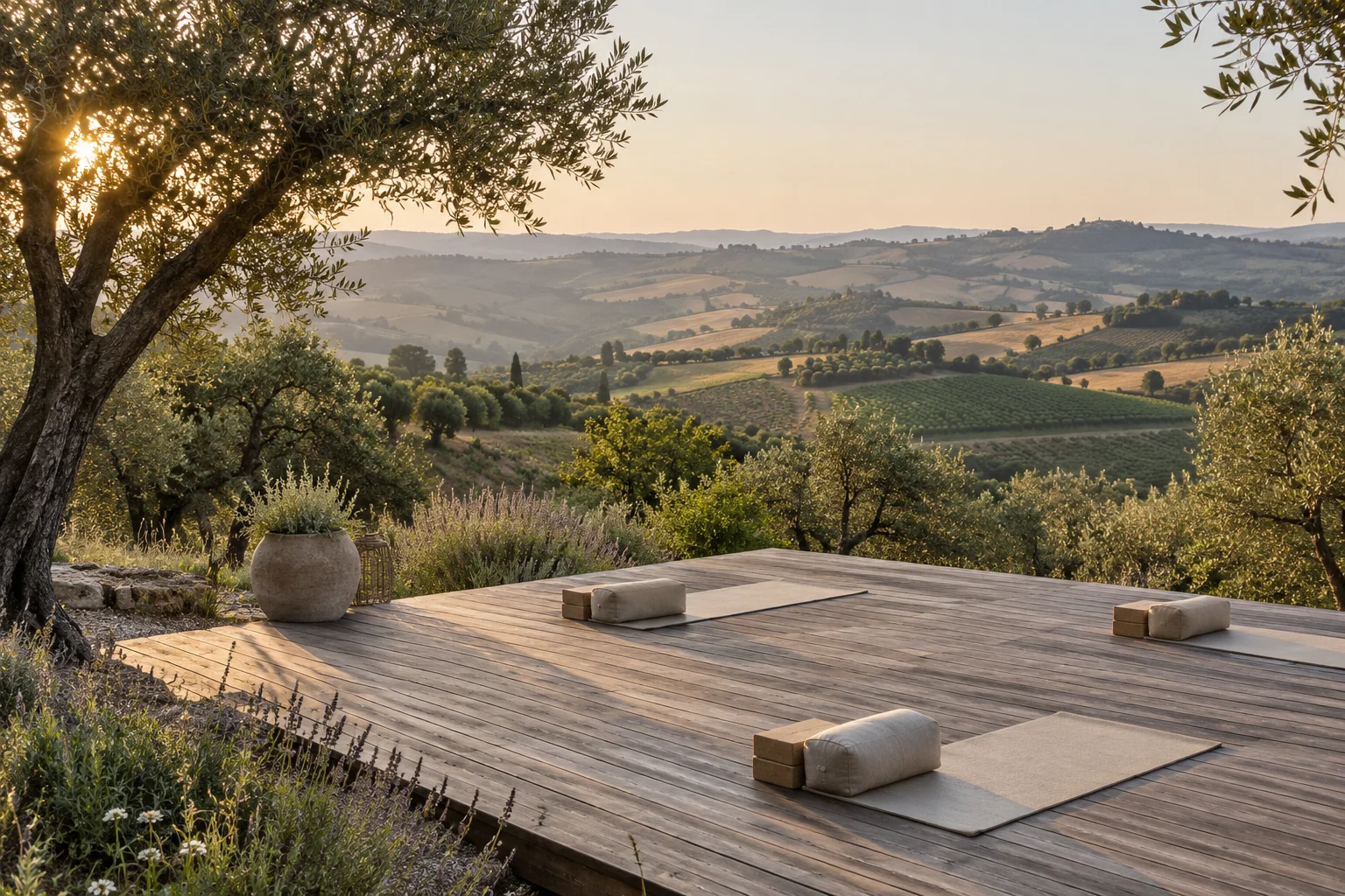 Concept impression of a timber retreat deck overlooking rolling hills, with yoga mats and olive trees