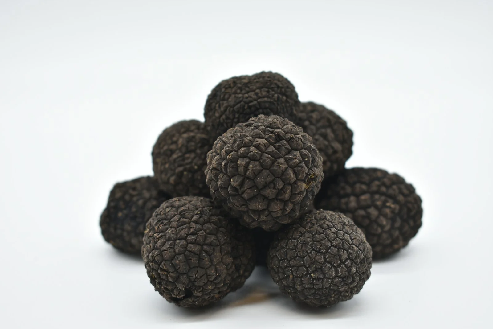 Fresh truffles, inspiration for future guided truffle hunts